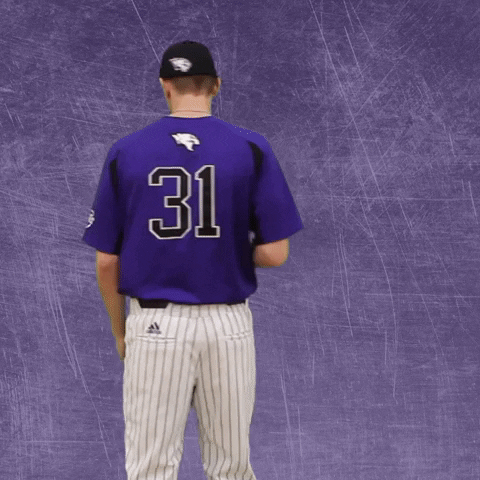 Baseball Wesleyan GIF by KWC Panthers