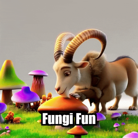 Mushroom Magic GIF by Radiantelope