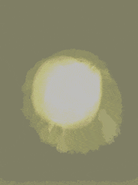 art artists on tumblr GIF by James Proctor