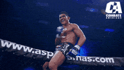 mixed martial arts fighting GIF by CombateAmericas