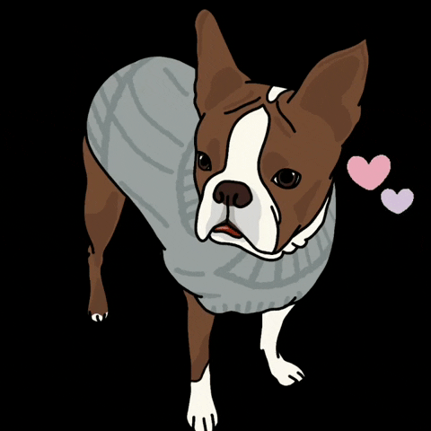 StephanieCullenDesign  GIF