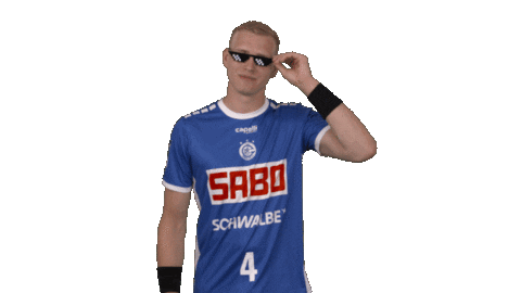 Handball-Bundesliga Sport Sticker by LIQUI MOLY HBL