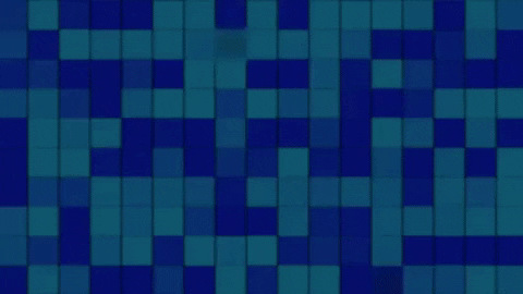 Stonk GIF