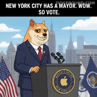 New York City Wow GIF by Doge Pound