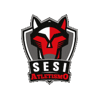Sesisp Sticker by Sesi Esporte