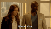 fox tv GIF by Rosewood