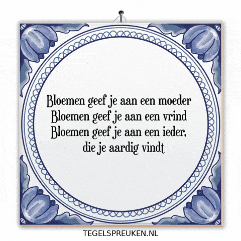Humor Troost GIF by Tegelspreuken.nl