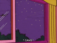 homer simpson GIF