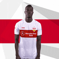 Silas Jako GIF by VfB Stuttgart