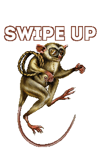 Chin Chin Drinking Sticker by Don Papa Rum