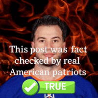 NYSports13 true new york islanders tony deangelo this post was fact checked by real american patriots GIF