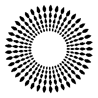 Travel Adventure Sticker by South African Tourism