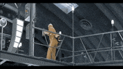 GIF by Giffffr