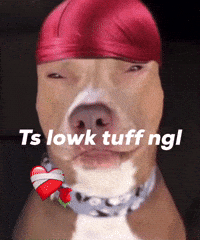 Dog Sigma GIF