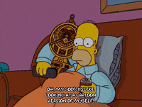 homer simpson GIF