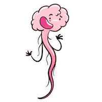 Brain Nervio Sticker