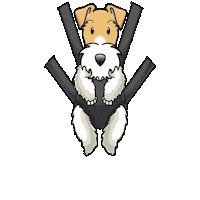 Wire Fox Terrier Puppy Sticker