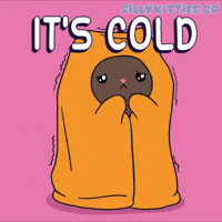 Freezing Ice Cold GIF by Silly Kitties
