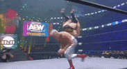 The Elite ÄEw GIF by All Elite Wrestling on TNT