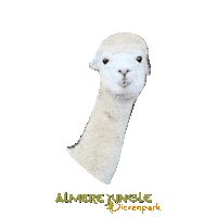 Alpaca Sticker by Almere Jungle