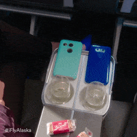 iflyalaska GIF by Alaska Airlines