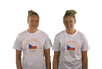 Czech Republic Facepalm Sticker by Český olympijský tým