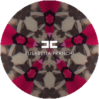 Ef Sticker by ELISABETTA FRANCHI