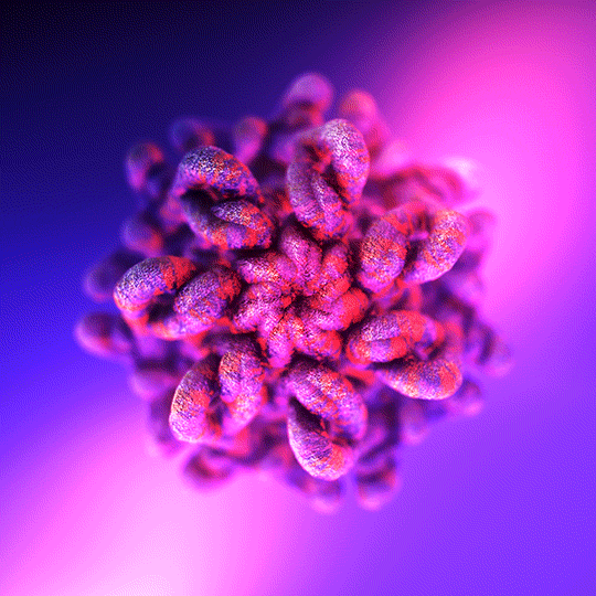 loop flower GIF by xponentialdesign