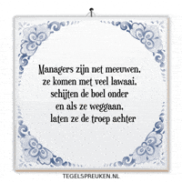 Chaos Wijsheid GIF by Tegelspreuken.nl