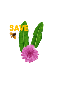 ANPWWF savethebees diamundialdoambiente salve as abelhas bee kind to nature Sticker