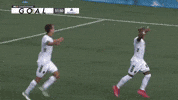 South Carolina Dancing GIF by Charleston Battery