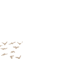 Birds Ac Sticker by Madeline Turner Photography