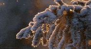 snow winter GIF by Head Like an Orange