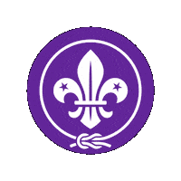 Badge Scout Sticker by World Scouting