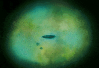 Space Science Stars GIF by European Space Agency - ESA