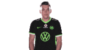 E Sports Sport Sticker by VfL Wolfsburg