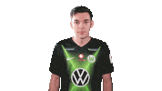 E Sports Sport Sticker by VfL Wolfsburg
