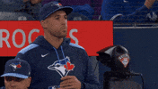 Blue Jays Baseball GIF by Toronto Blue Jays