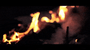 music video GIF