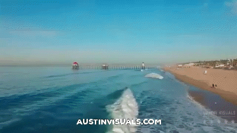 therealsparks giphygifmaker GIF