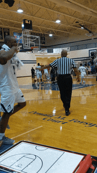 vwu_marlins marlins vwu wethebeach virginiawesleyan GIF