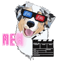 Australian Shepherd Dogs Sticker