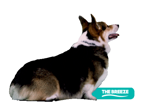 dog love Sticker by The Breeze