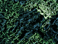 GIF by LATS