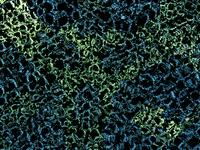 GIF by LATS