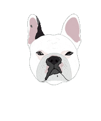 twotibetansdigital dog puppy wink adorable Sticker