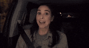 sarah silverman smile GIF by HULU