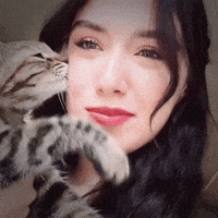 Cat Love GIF