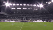 Newcastle United GIF by Newcastle United Football Club