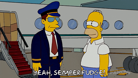 Episode 1 GIF by The Simpsons